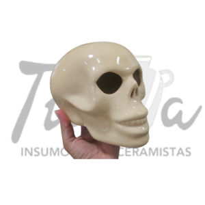 Molde de yeso Calavera